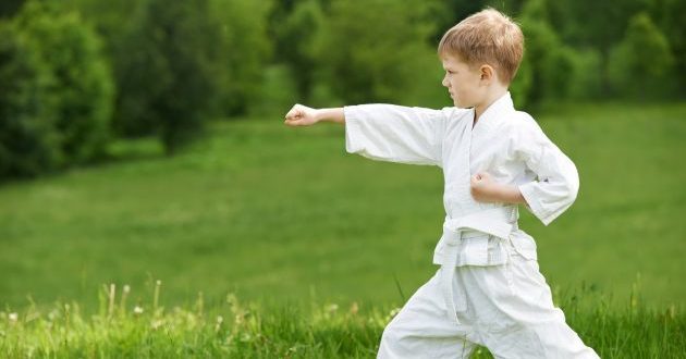 sporta klubi: Karate