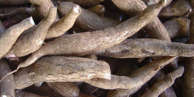 Kaitīgi produkti: manioka