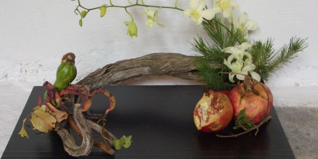 Ikebana ar granāts un putnu