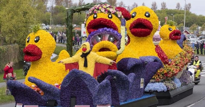 Parade Bloemencorso krāsas