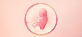21. grūtniecības nedēļa: kas notiek ar mazuli un mammu - Lifehacker