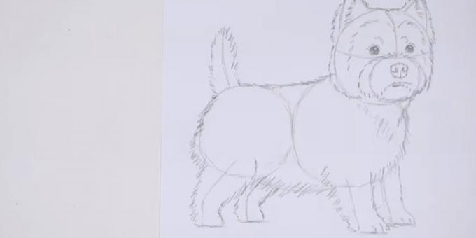 Zīmēt ķermeni un asti suns