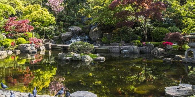 Ko redzēt Londonā: japāņu Kioto Garden Holland Park