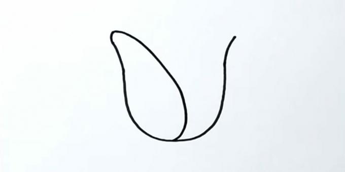Kā uzzīmēt tulpi: uzzīmējiet kreiso ziedlapiņu
