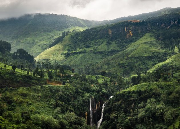 kur iet rudenī: Šrilanka