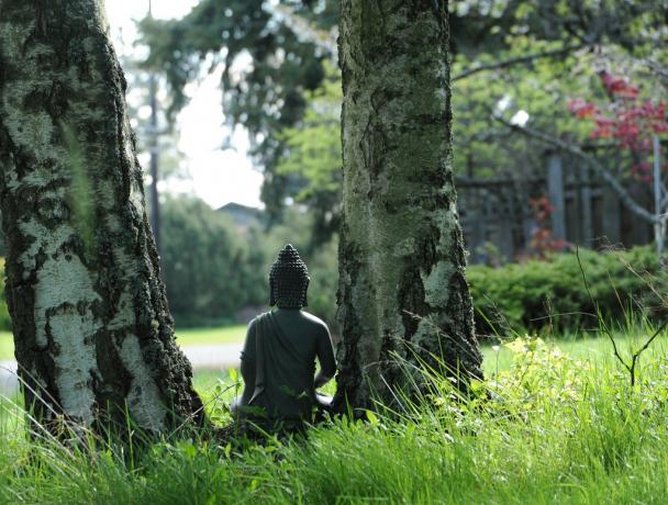 Trauksme traucējumi var iekarot ar meditāciju