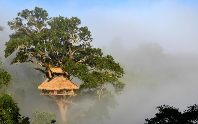 Bokeo Nature Reserve, Laosa