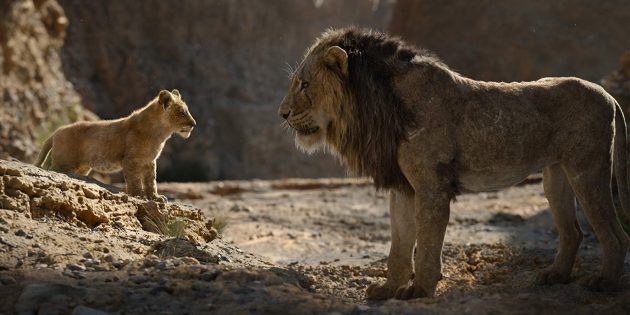 "The Lion King": Simba un rētu
