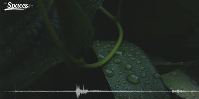 Binaural skaņas lietus un koncentrācijas