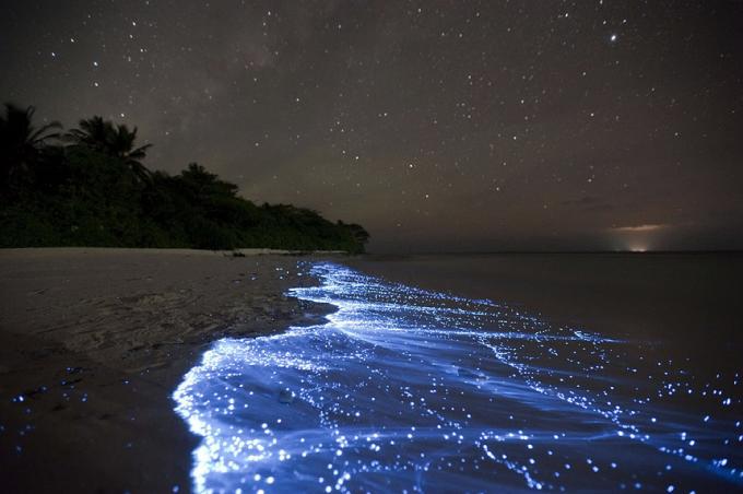 Bioluminescent Beach - Vaadhoo, Maldīvija labākās pludmales