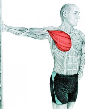 Anatomija stiepjas: stiepjas krūšu muskuļus sienā