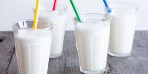 10 receptes gardām milkshakes