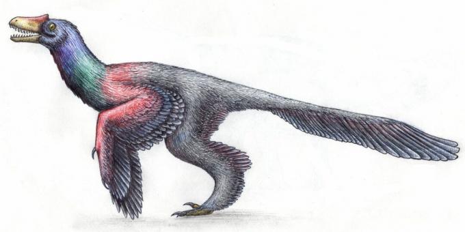Senie mīti: dinozauri izskatījās kā rāpuļi