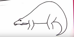 30 veidi, kā uzzīmēt dažādus dinozaurus