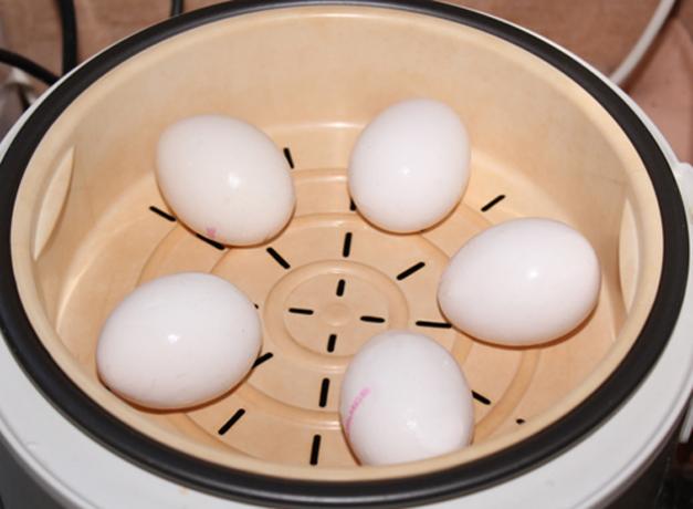 Kā pagatavot olas dubultā katlu vai multivarka