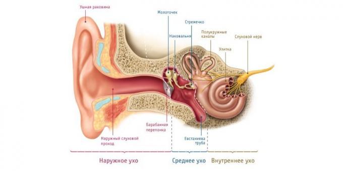 Ja bērnam ir ausu sāpes, ir fizioloģiska iemesls tam