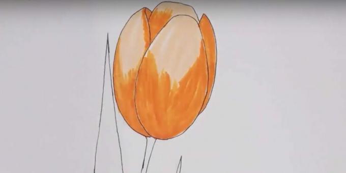 Kā uzzīmēt tulpi: krāsojiet pumpuru oranžā krāsā