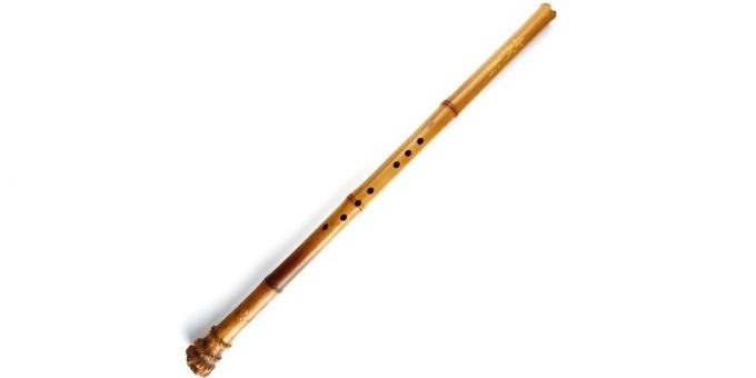 bambusa flauta