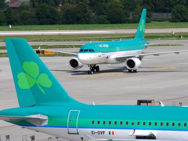 Aer Lingus plakne