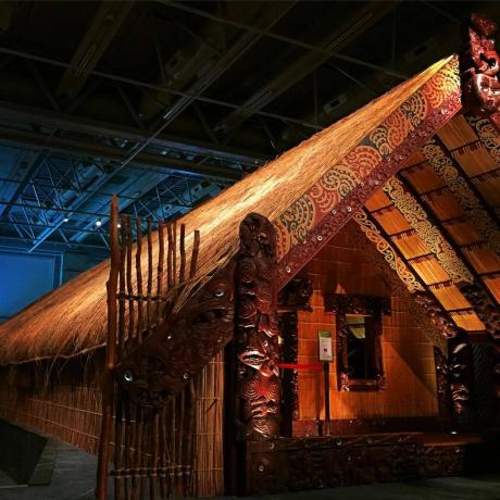 Muzejs Jaunzēlandi (Te Papa Tongarewa)