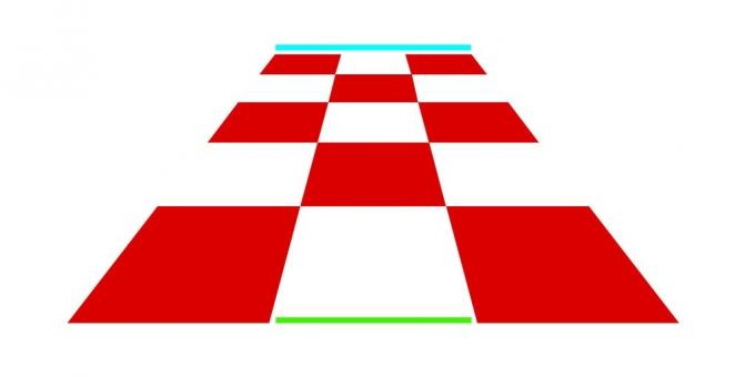 Optiskās ilūzijas. chessboard