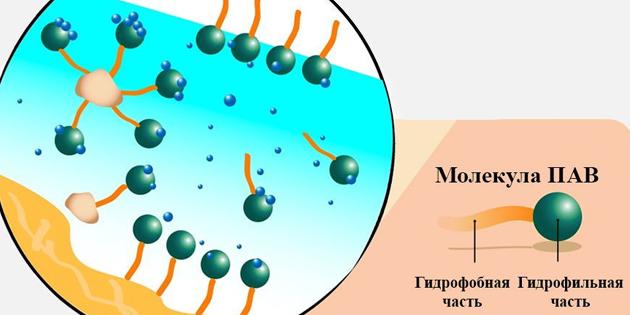 Micellar ūdens: virsmaktīvā molekula