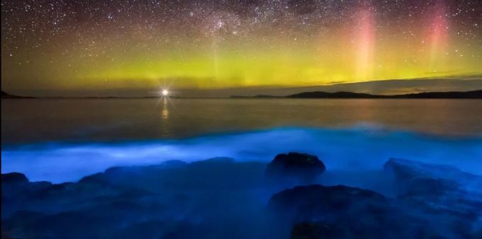Pārsteidzoši skaista vieta: bioluminescent ūdeņi krastiem Tasmānija