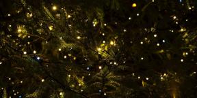 6 Ziemassvētku tradīcijas, kas nāk pie mums no pagānisma