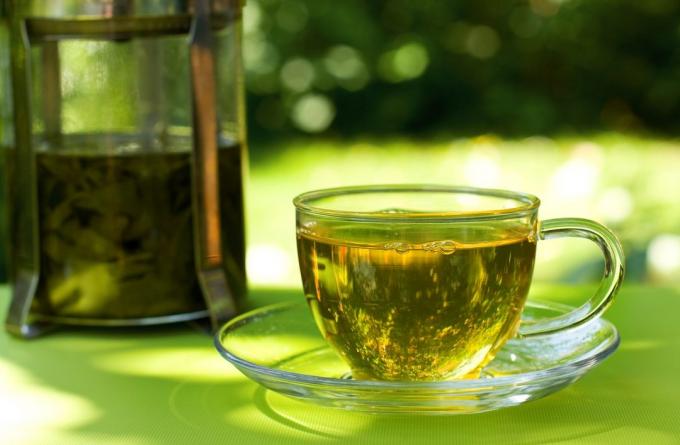 Ieradumi, kas palīdzēs zaudēt svaru: dzert zaļo tēju
