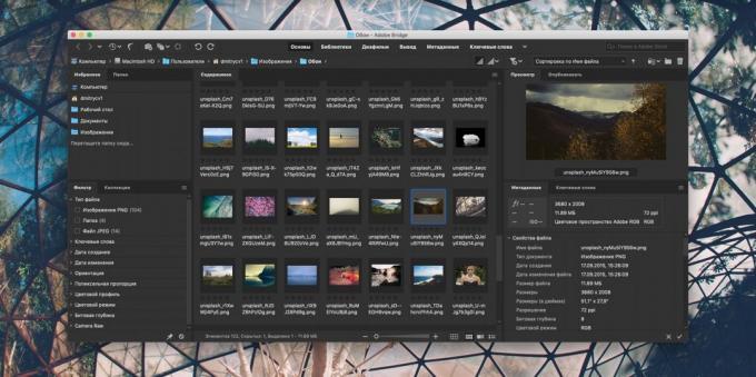 Kā organizēt kolekciju fotogrāfijas: Adobe Bridge