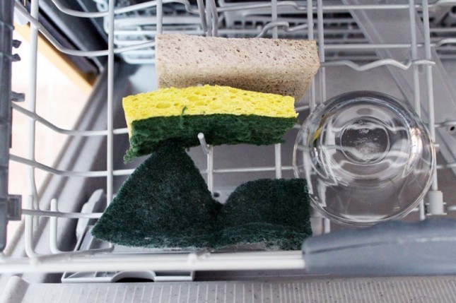 Kā lietot trauku: mazgāšanas sūklis