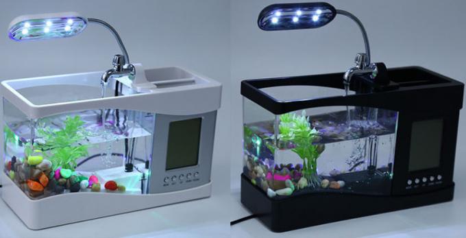 Mini Aquarium