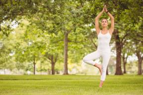 Fizika līdzsvars jogā. 1.daļa: Alignment
