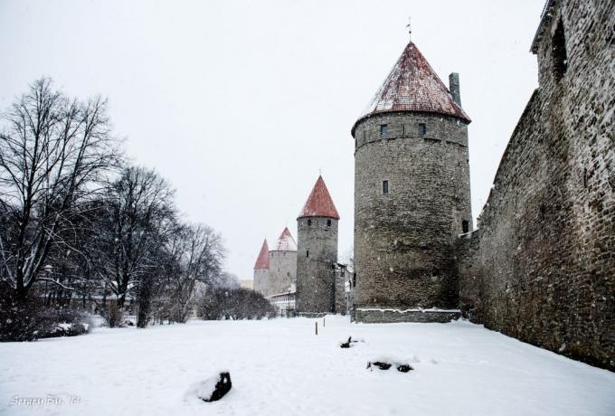 Tallinn sienas