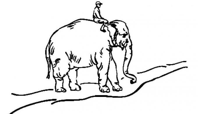 labus ēšanas paradumus: zilonis, braucējs un ceļu