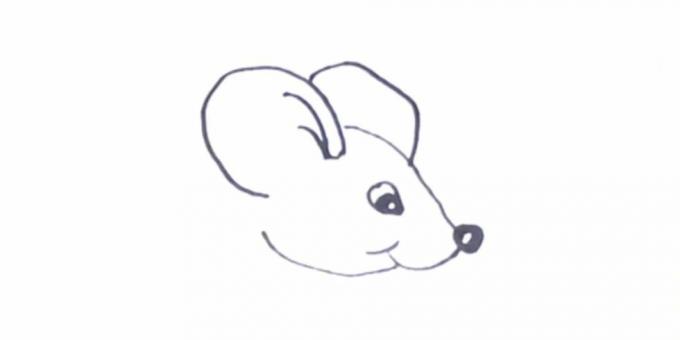 Kā uzzīmēt žurku: attēlot ausis