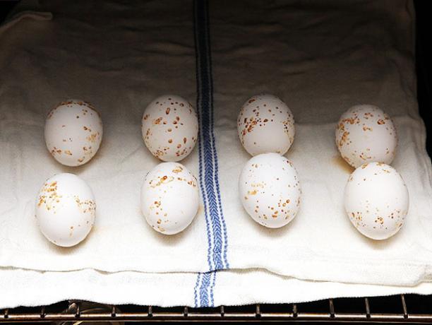 Kā pagatavot olas krāsnī