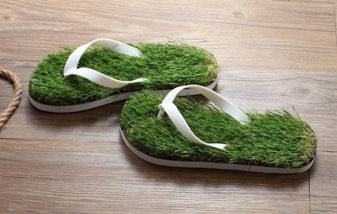 Unikālas dāvanas Jaungada: sneaker ar zāli