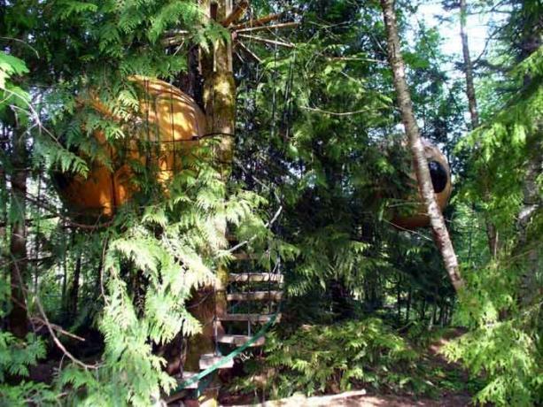 Treehouse, kuru var rezervēt