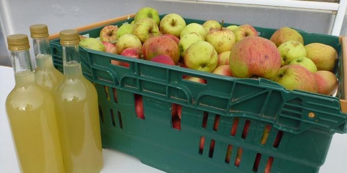 Kā pagatavot ābolu sidru mājās: viegli recepte