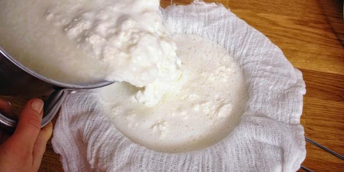Kā pagatavot siera: daudz celma, izmantojot tīru marli un acs