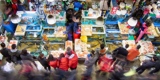 Atrakcijas Dienvidkoreja: tas ir nepieciešams apmeklēt zivju tirgu