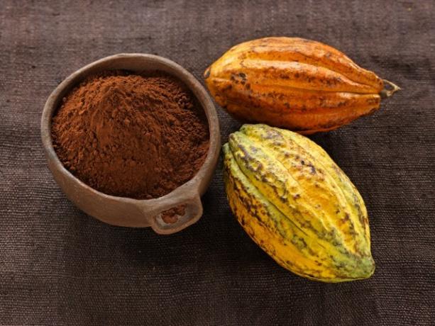 Karstā šokolāde: kakao pulveri un kakao pupiņas 